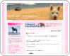 ALOHA DOG：ハワイの犬生活ブログ