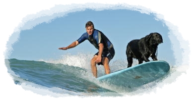 ハワイ・サーフィン犬