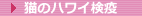 �L�ƈꏏ�Ɋy���ރn���C�m�A���n�L���b�g�X�^�C���n�L�̃n���C���u