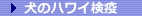 ���ƈꏏ�Ɋy���ރn���C�m�A���n�h�b�O�X�^�C���n���̃n���C���u
